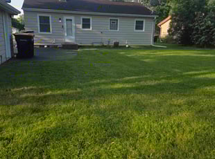 Michael G.'s turf care service result