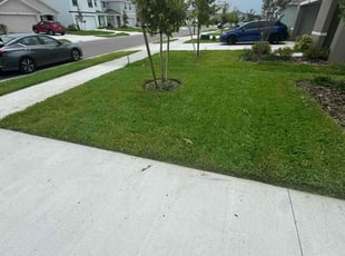 Penny J.'s landscaping service result