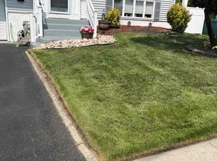 Terry B.'s lawn care service result