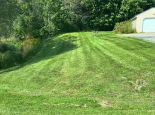 Richard m.'s lawn care service result