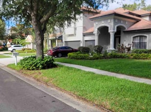 Timothy H.'s grass maintenance service result