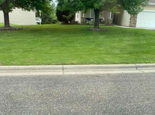Peggy P.'s lawn maintenance service result