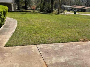 Kelly S.'s lawn maintenance service result