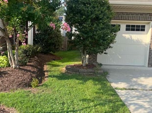 Lorene H.'s turf maintenance service result
