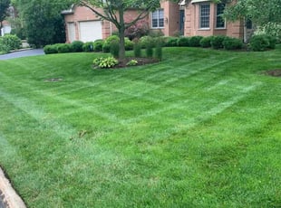 Bob A.'s lawn care services service result