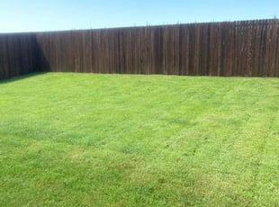 Jean M.'s lawn care services service result