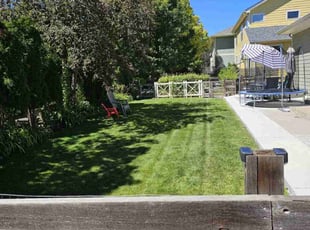 Colin B.'s grass maintenance service result