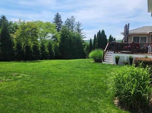 Amy W.'s lawn care services service result