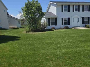 Alicia D.'s turf maintenance service result