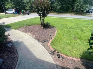 Chuck T.'s lawn maintenance service result