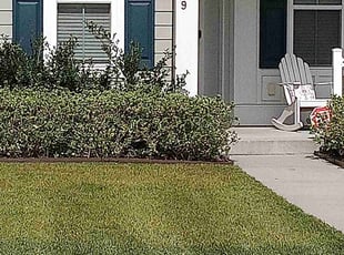 Bel D.'s turf maintenance service result