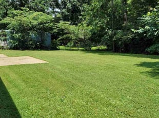 Marshelle H.'s grass cutting service result