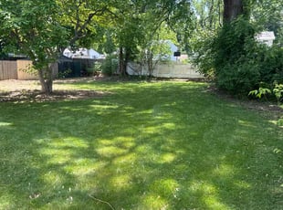Mae S.'s lawn maintenance service result