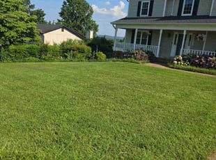 Herby G.'s lawn service service result