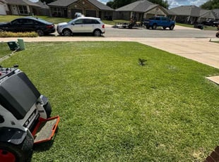 Ken M.'s grass cutting service result