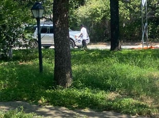 Gevara A.'s lawn care service result