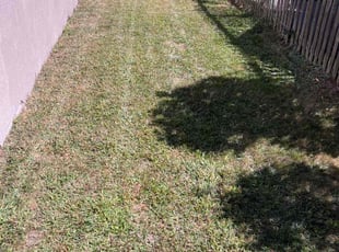 BAHA T.'s grass cutting service result