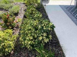 Sandra B.'s Flower Bed Weeding service result