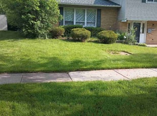 Jennifer P.'s Bush Trimming service result