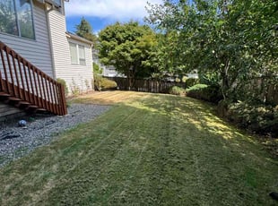 Tr G.'s turf maintenance service result