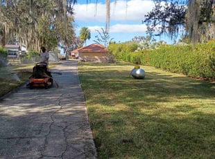 Dennis M.'s lawn care services service result