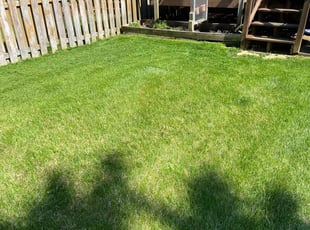 Nicole H.'s turf maintenance service result