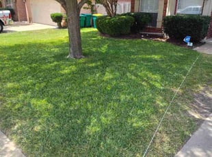 Michelle S.'s Bush Trimming service result