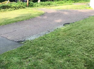 Judy B.'s turf care service result