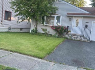 Javier M.'s grass maintenance service result