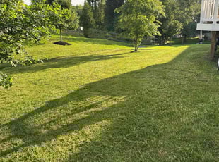 Desirae G.'s turf maintenance service result