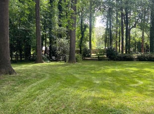 J M.'s turf care service result