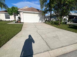 Leigh Anna A.'s lawn care service result