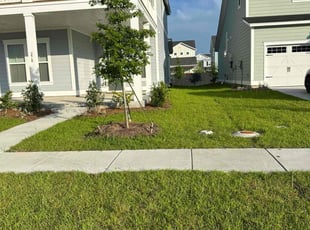 Allison D.'s lawn care service result