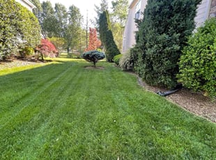 Ron R.'s grass cutting service result