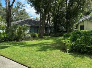 David R.'s lawn care service result