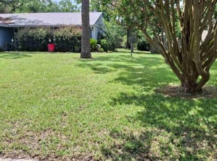 Reggie -.'s Long Grass Cleanup service result