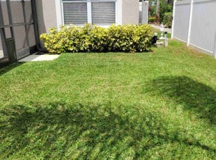 Michael A.'s turf maintenance service result