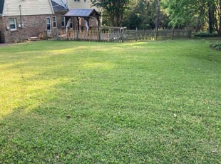 Sara A.'s turf maintenance service result