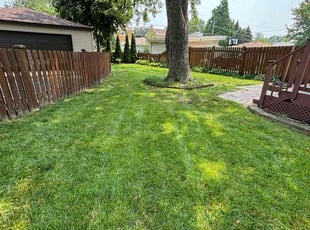Sharlyne B.'s lawn maintenance service result