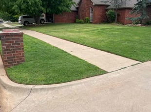 Alwyn D.'s turf maintenance service result