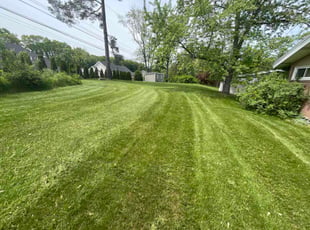 Patrick A.'s grass cutting service result