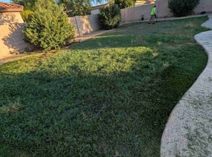 Carrie H.'s grass maintenance service result