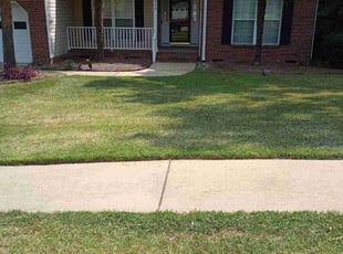 Rob D.'s turf care service result