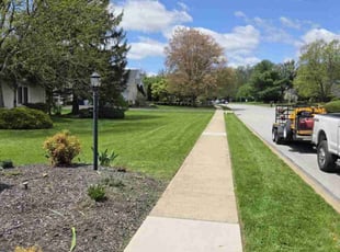 Rasheen T.'s turf care service result