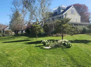 Yong Z.'s turf maintenance service result