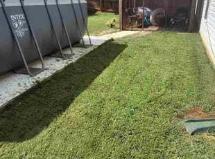 Doreen F.'s lawn care service result