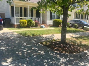 Angelica H.'s grass cutting service result