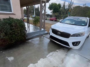 Nick S.'s Bush Trimming service result