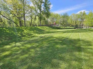 Sangeetha K.'s turf maintenance service result