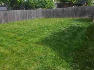 Miguel C.'s lawn care service result
